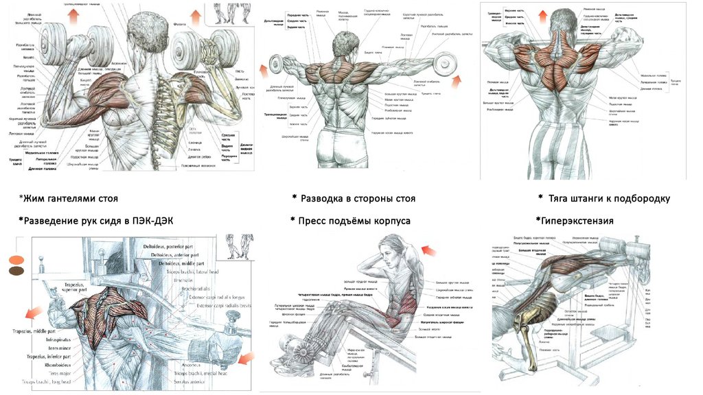 Believe In Your заставки бодибилдинг Skills But Never Stop Improving