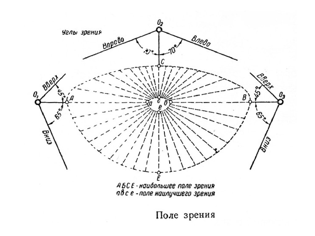 Поле зрения это. Поле зрения человека в градусах норма. Угол поля зрения человеческого глаза. Угол поля зрения человека. Эргономика поля зрения человека.