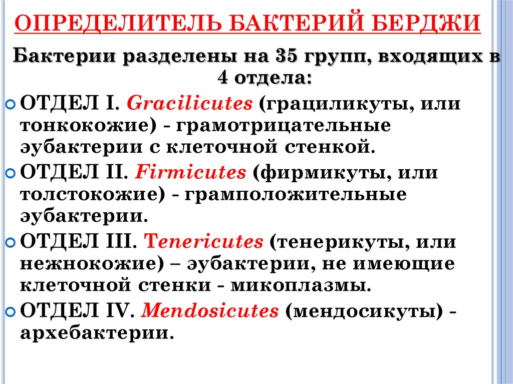 Классификация микробиологии. Классификация Берджи микробиология. Берджи классификация микроорганизмов. Классификация бактерий Берджи. Систематика микроорганизмов микробиология таблица.