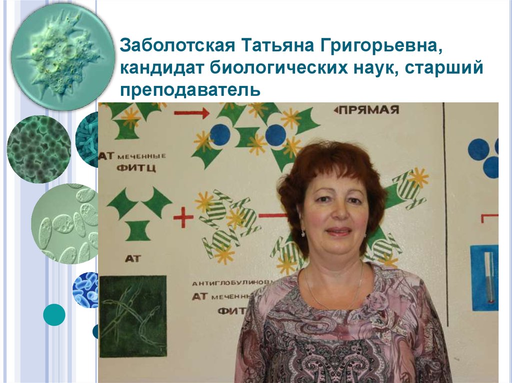 Заболотская Татьяна Григорьевна, кандидат биологических наук, старший преподаватель