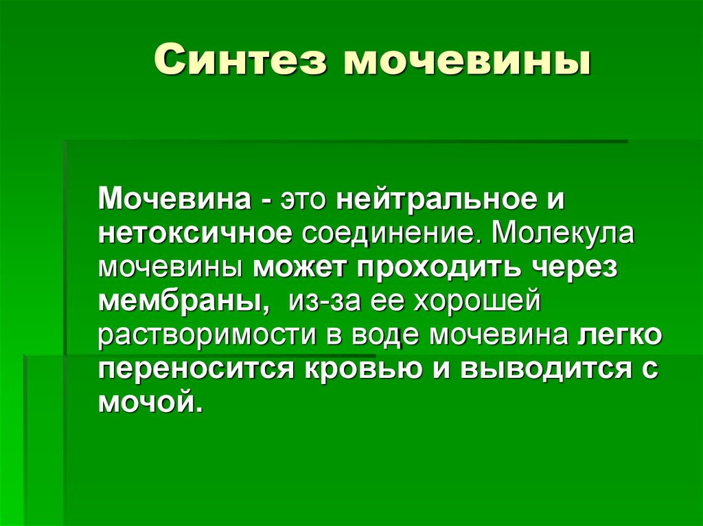 Мочевина что это. Мочевина. Мочевина это в биологии. Мочевина анатомия. Мочевина это в биологии 8 класс.