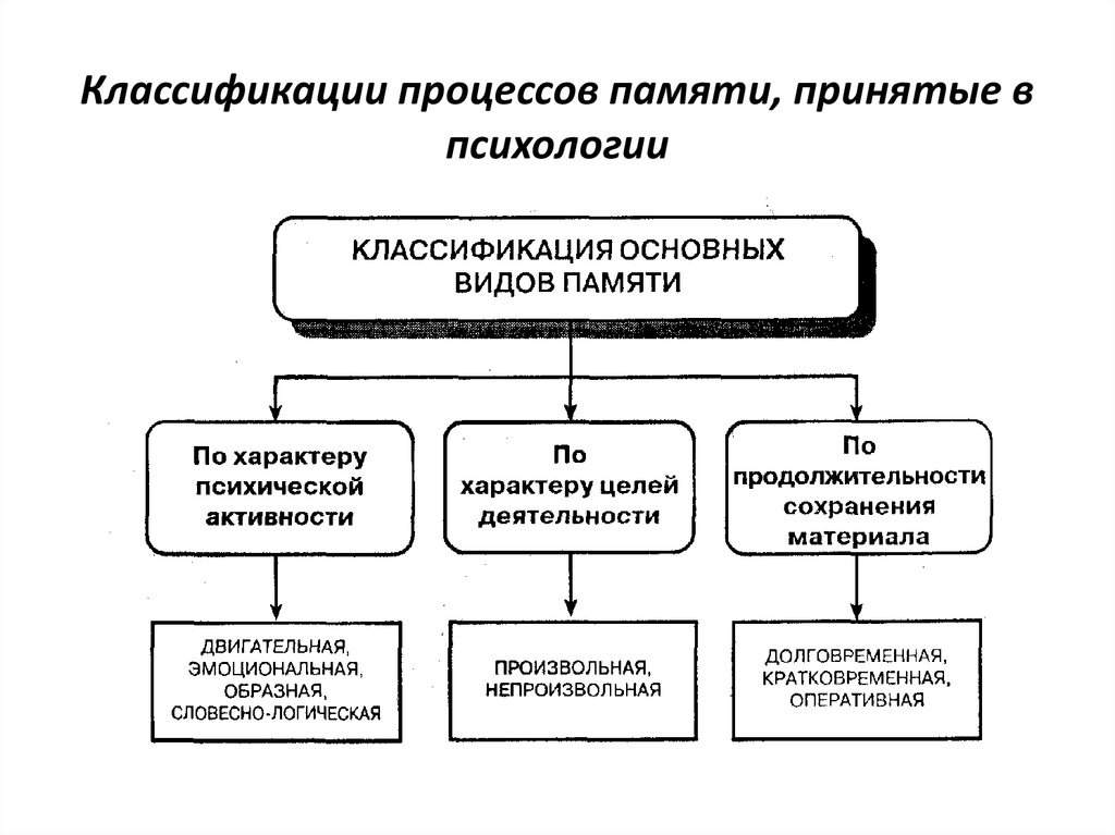 Процессы в психологии. Классификация процессов памяти. Классификация видов памяти по характеру психологической активности. Классификация памяти по продолжительности сохранения материала. Классификация памяти по длительности.