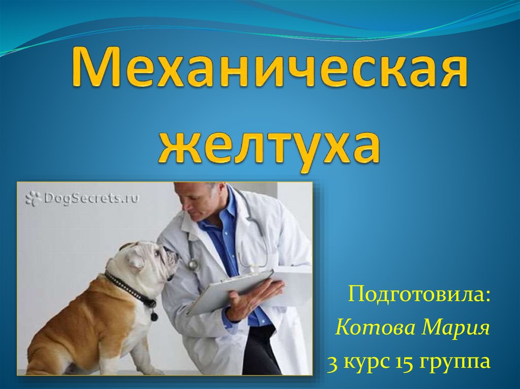 Хирургия механическая желтуха презентация