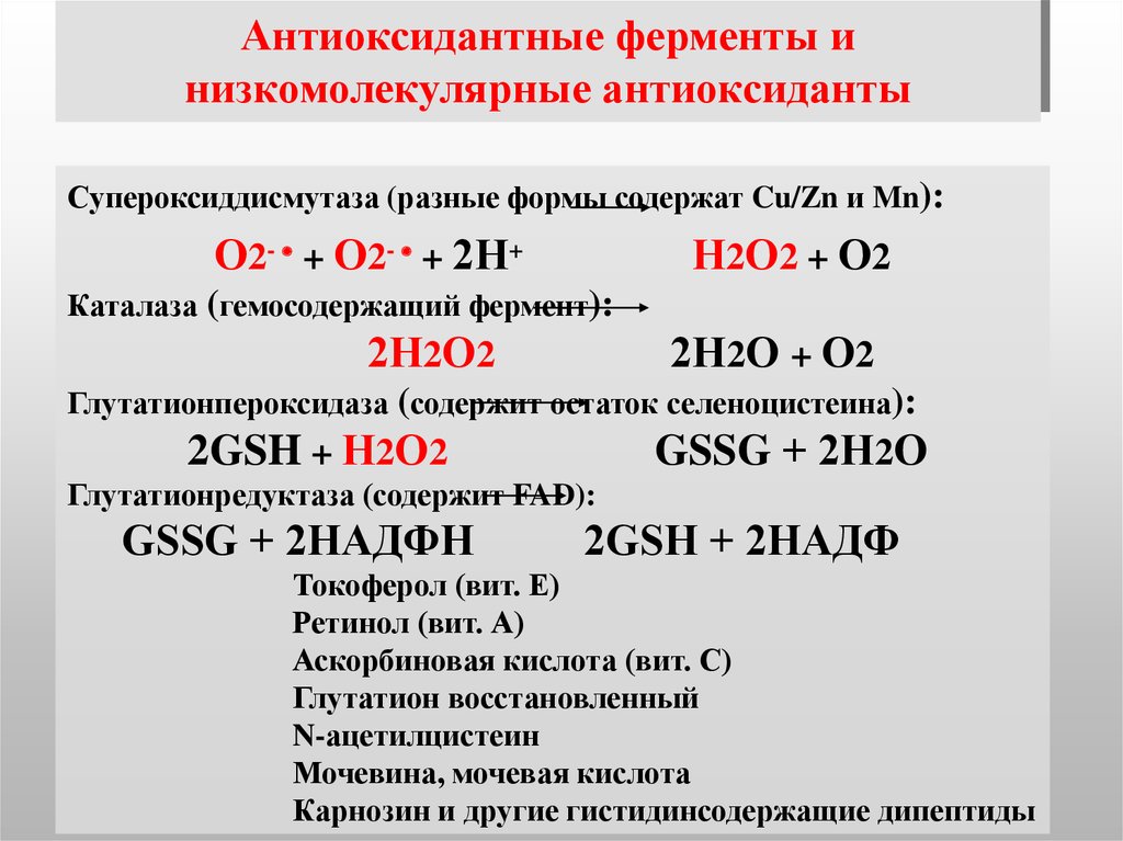 Антиоксидантные ферменты. Ферментные системы антиоксидантной защиты. Антиоксидантные ферменты биохимия. Ферментные антиоксиданты.