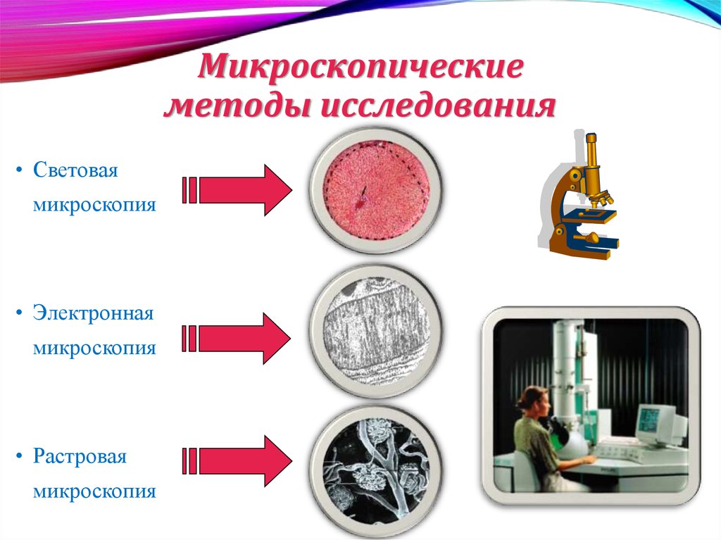 Опишите микроскопию