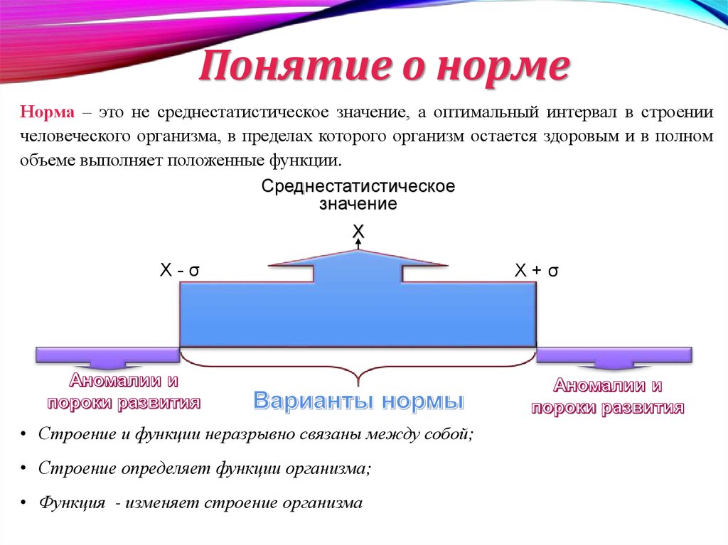 Смысл понятие норма