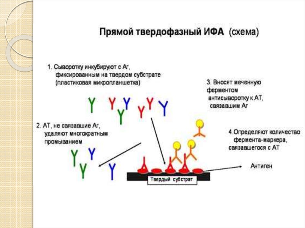 Ифа качественно что это. Твердофазный метод ИФА. Прямого и непрямого твердофазного неконкурентного ИФА схема. Иммуноферментный анализ конкурентный и неконкурентный. Прямой конкурентный ИФА схема.