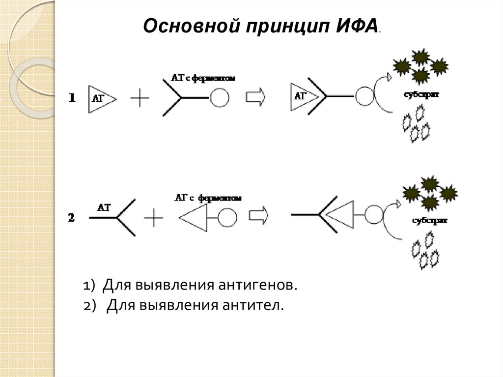 Необходимые ингредиенты особенности и схема постановки неконкурентного ифа методом сэндвича