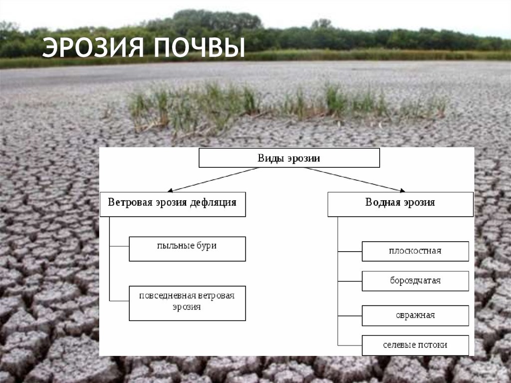 Заполни почвы. Причины ветровой эрозии. Типы ветровой эрозии. Причины ветровой эрозии почв. Ветровая эрозия почв причины.