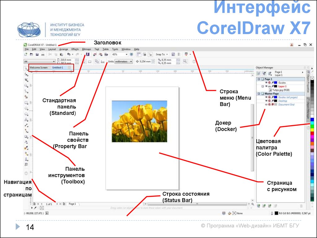 Корела программа. Интерфейс графического редактора coreldraw. Основные элементы интерфейса coreldraw. Интерфейс программы корел дроу. Элементы интерфейса программы coreldraw.