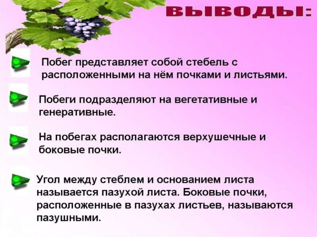 Используя информационные ресурсы подготовьте презентацию проекта