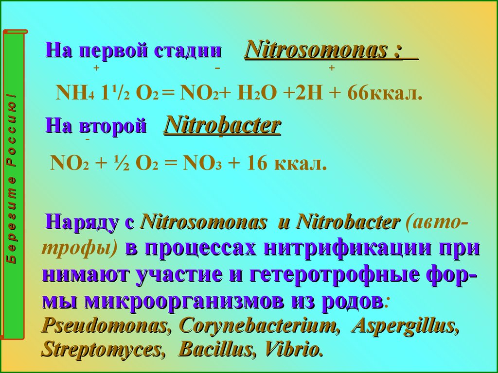 Биологические основы земледелия - презентация онлайн