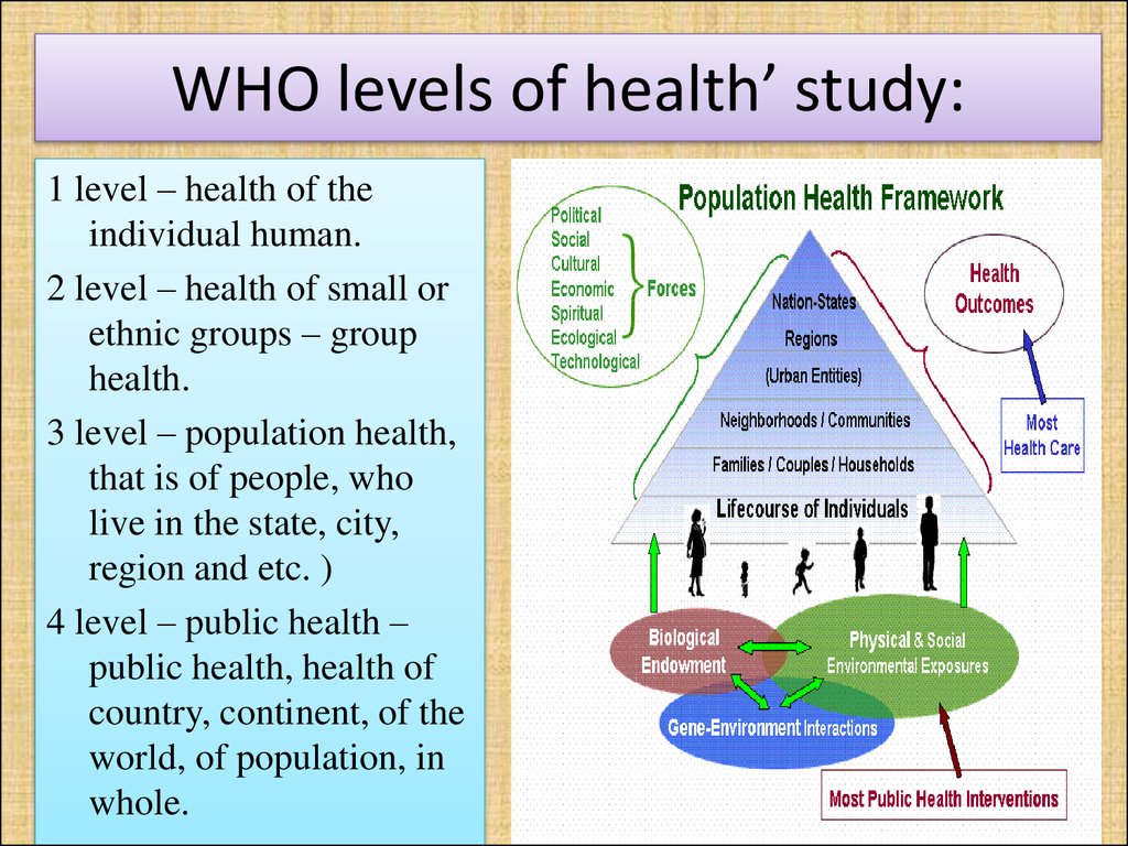 Health study. Social Medicine. The Levels of Health study. Level of study. Levels of studying.