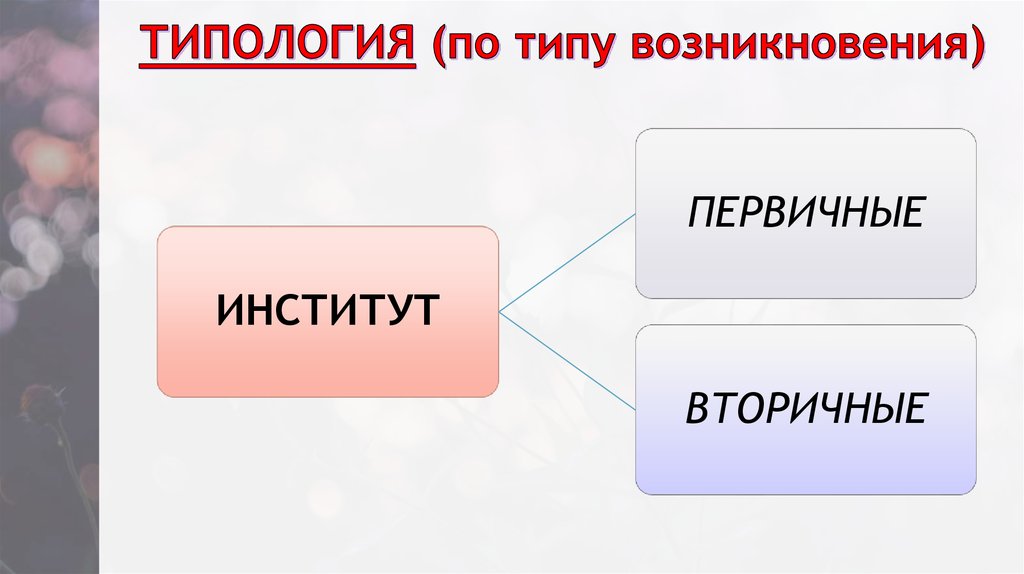 Тип происхождения. Типы зарождения.