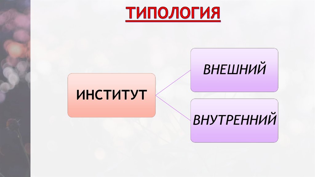 ТИПОЛОГИЯ
