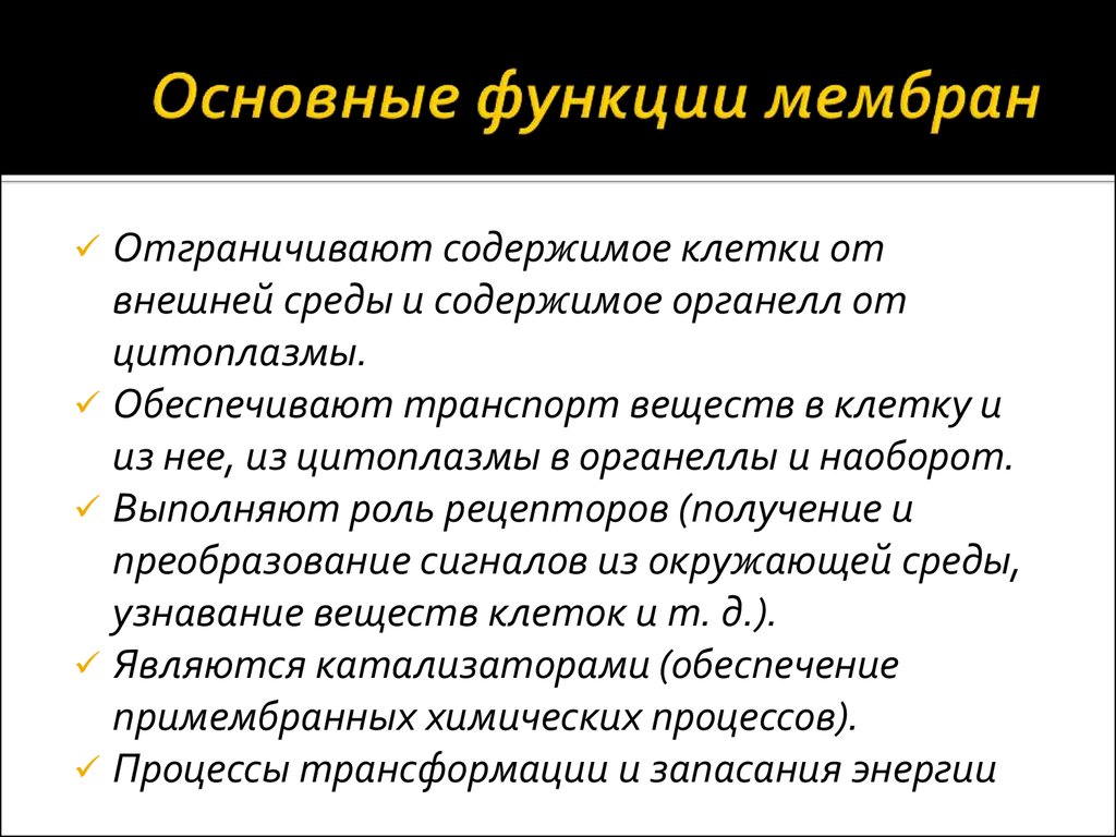 Функции мембраны. Основные функции мембраны. Основные функции клеточной мембраны. Основная функция клеточной мембраны. Мембраны функции Общие.