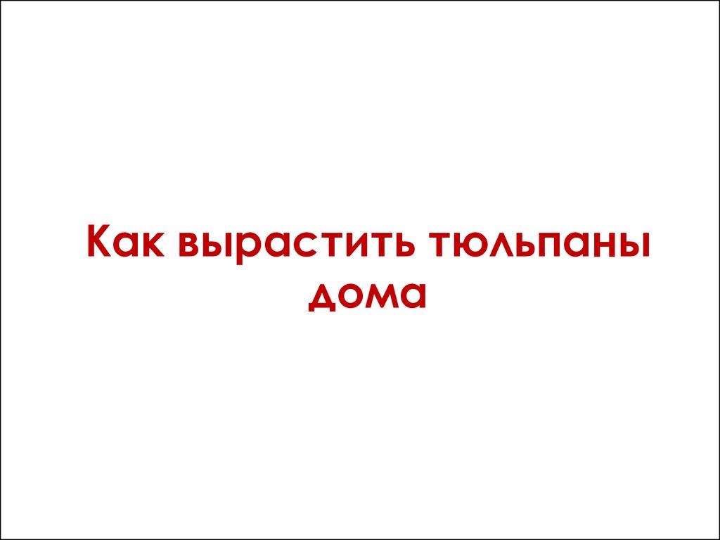 Как вырастить тюльпаны дома - презентация онлайн