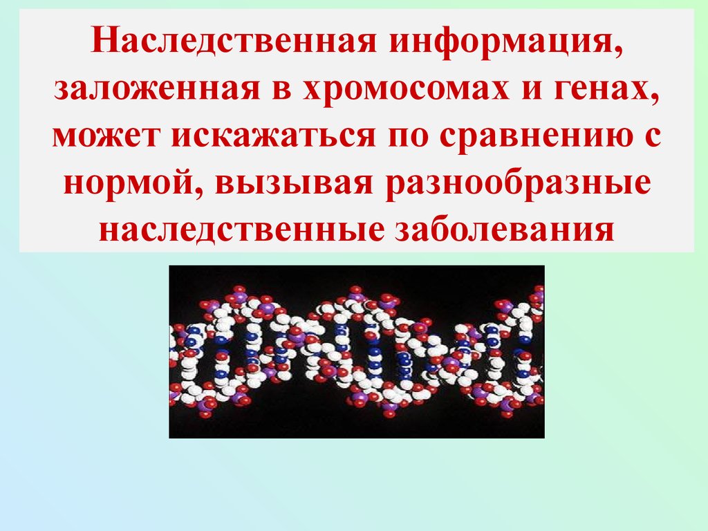 Наследственные болезни человека презентация 11 класс