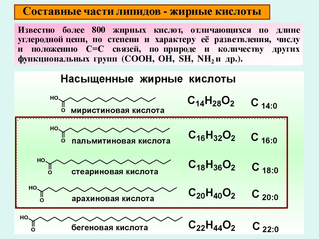 Кислота с серой 4. Основные ненасыщенные жирные кислоты липидов. Ненасыщенные жирные кислоты в липидах. Функциональные группы липидов. Радикалы жирных кислот.