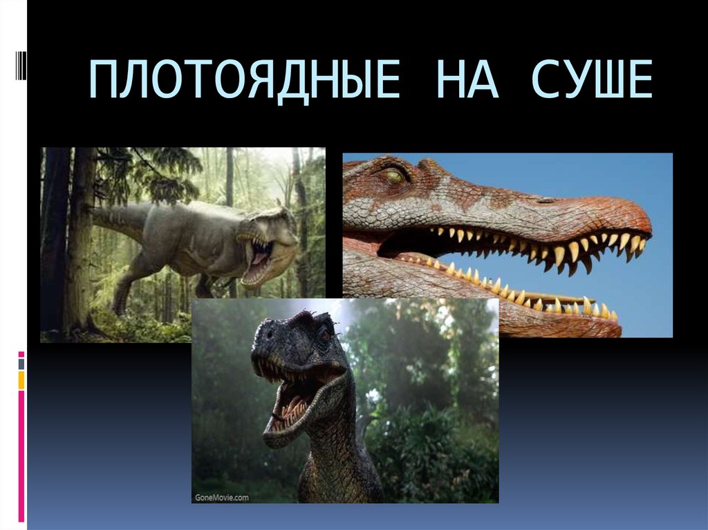 ПЛОТОЯДНЫЕ НА СУШЕ