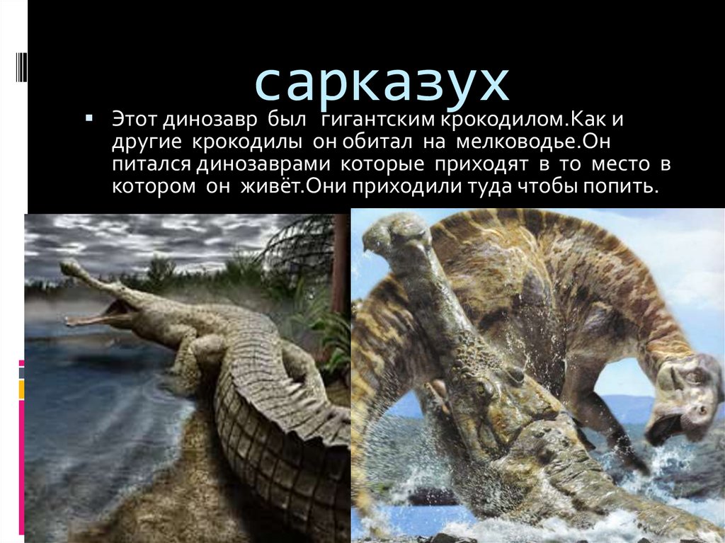 сарказух