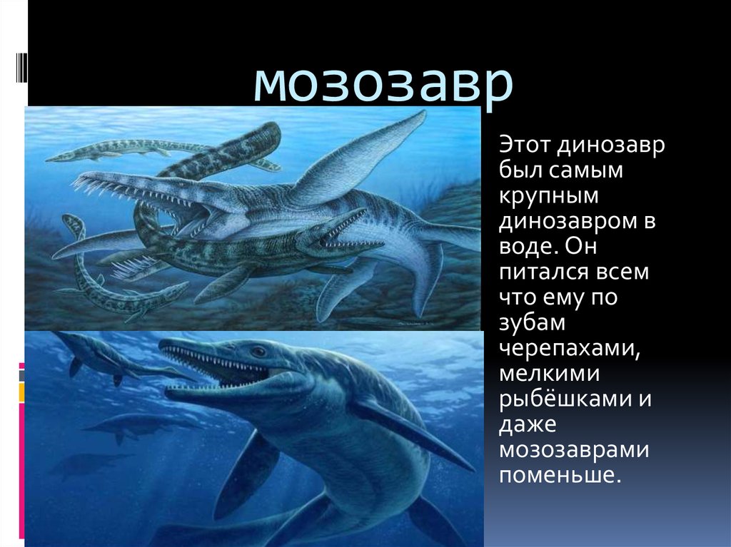 мозозавр