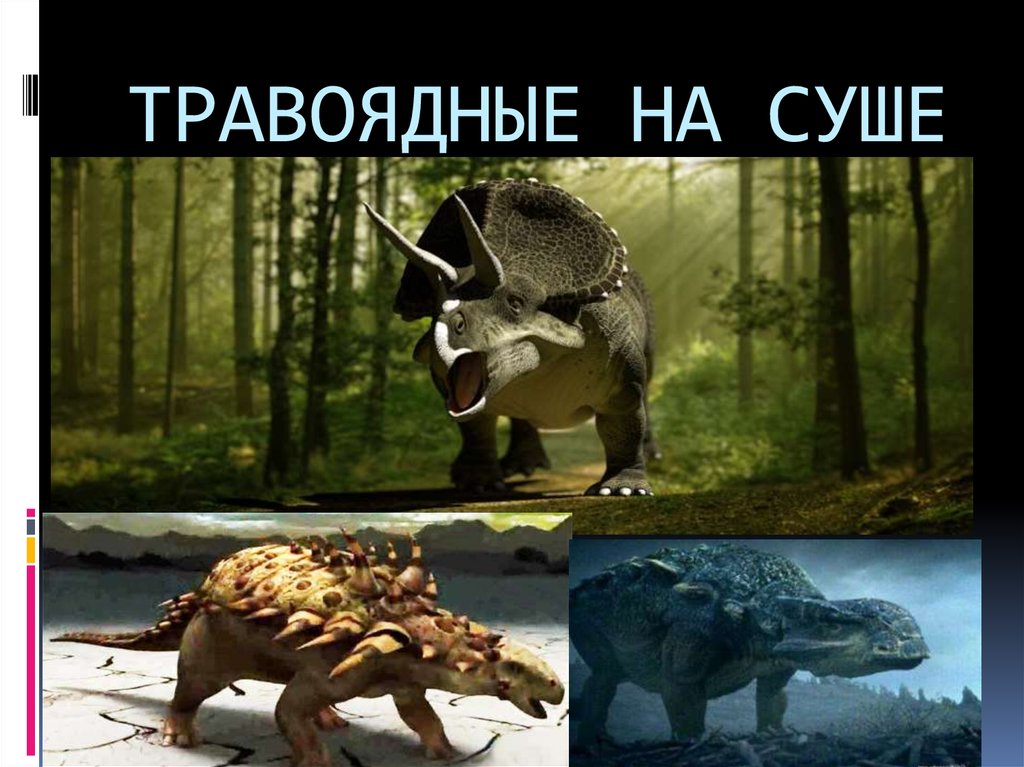 ТРАВОЯДНЫЕ НА СУШЕ