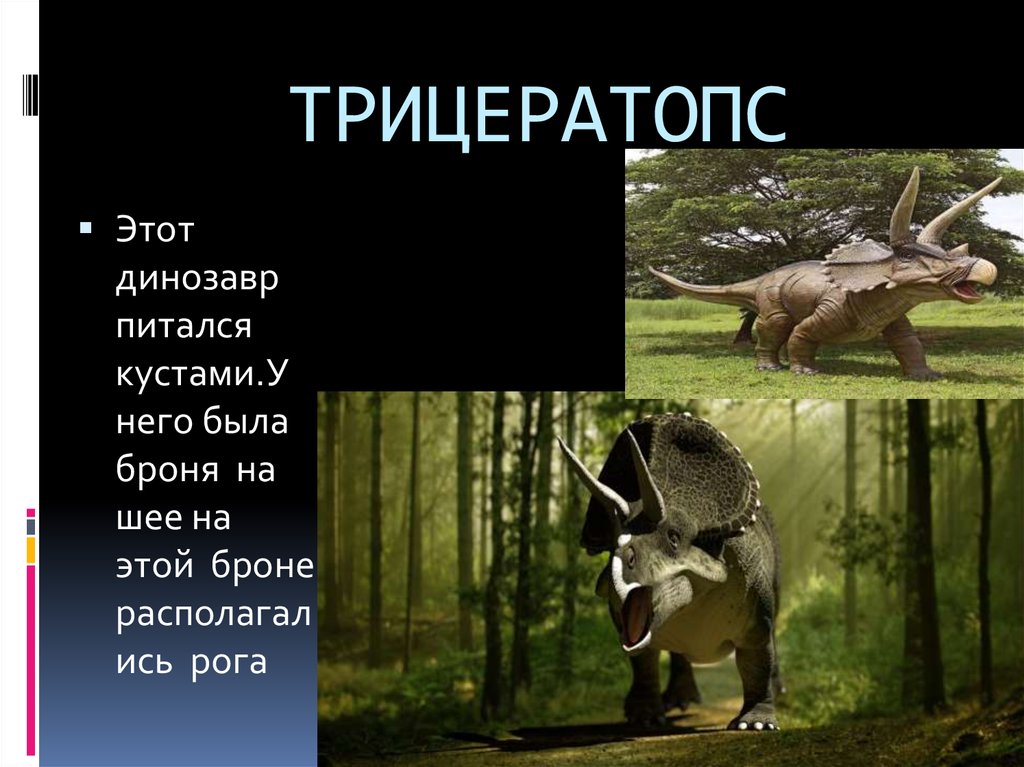 ТРИЦЕРАТОПС