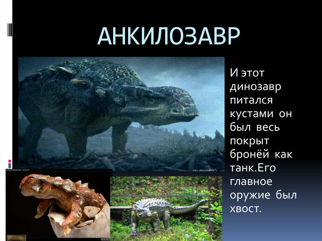 АНКИЛОЗАВР