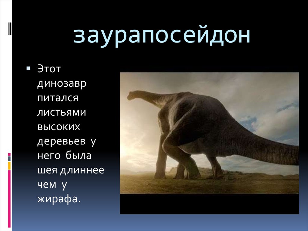 заурапосейдон