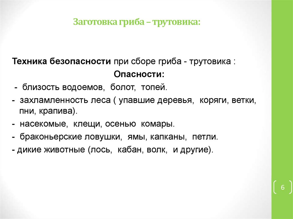 Заготовка гриба – трутовика: