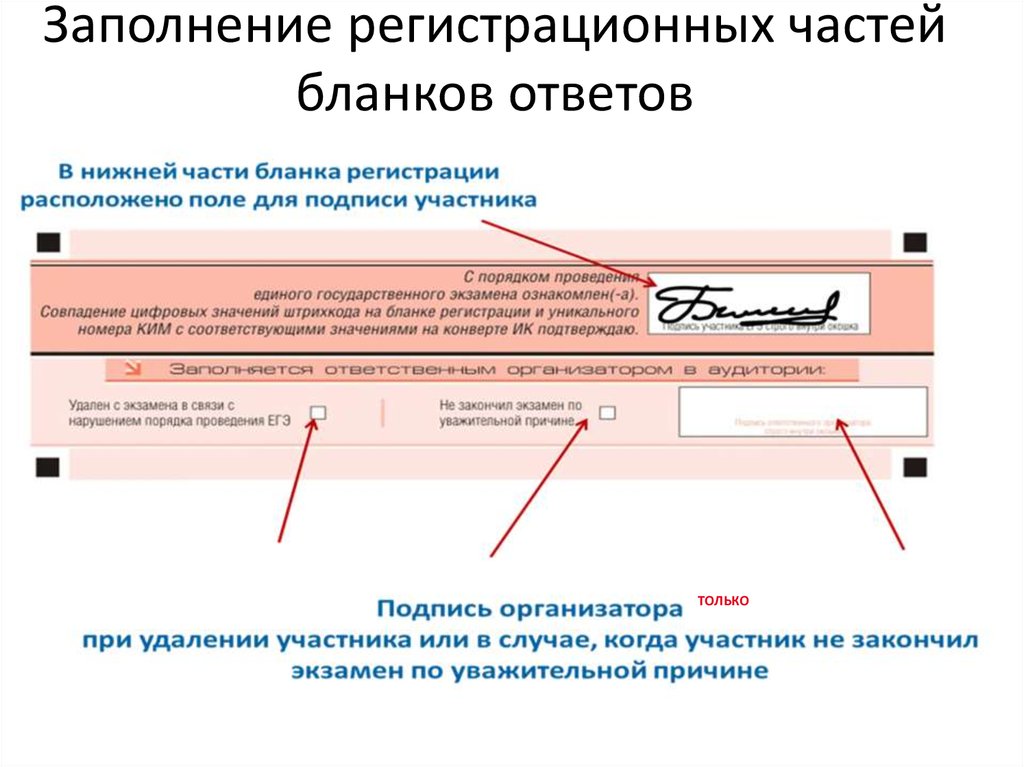 Где находится регистрация