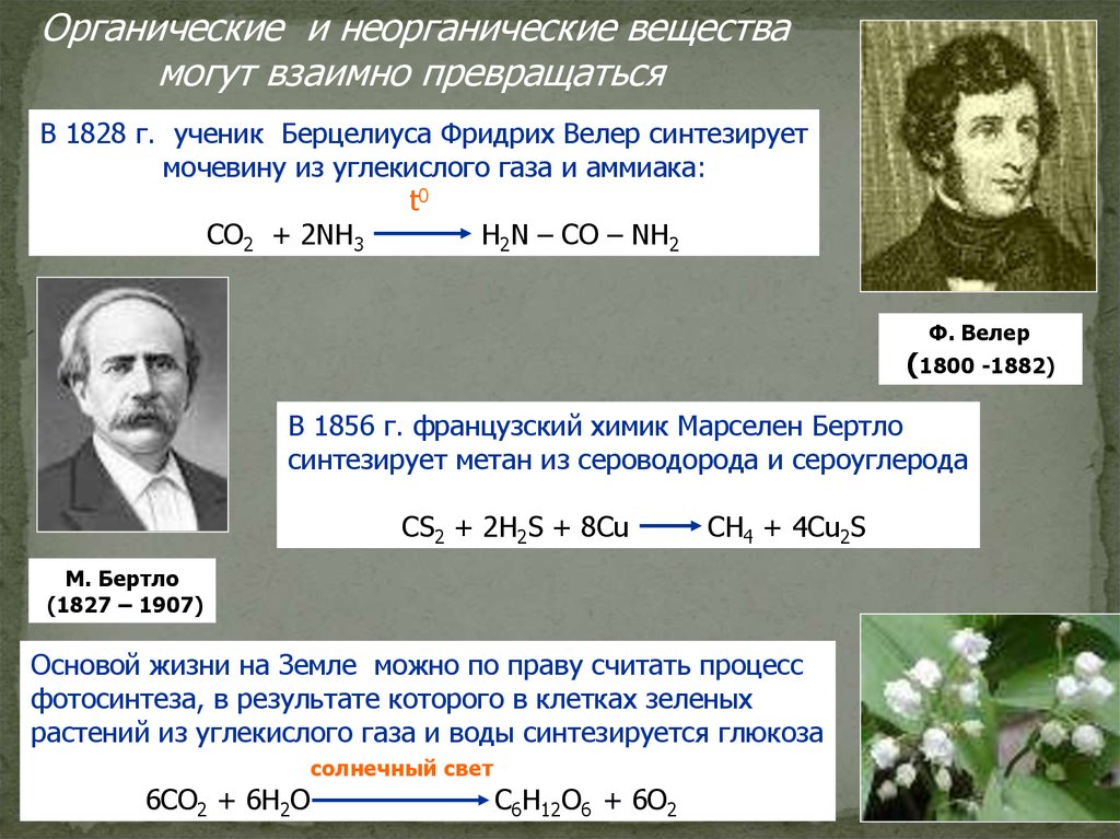 Синтезируют из неорганических веществ. Неорганические вещества ГАЗЫ. Углекислый ГАЗ это неорганическое вещество. Органические и неорганические ГАЗЫ. Органический и неорганический ГАЗ.