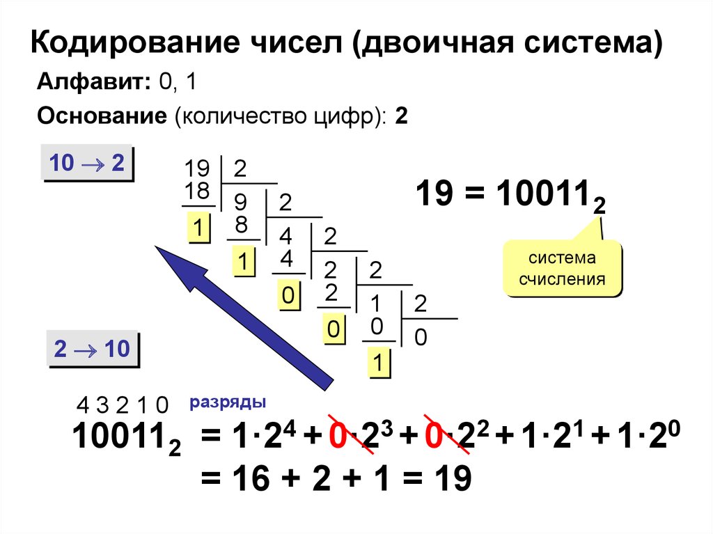 Кодирование чисел. Кодирование в двоичной системе счисления. Двоичная система кодирования Информатика. Как переводить числа в двоичную систему кодирования.