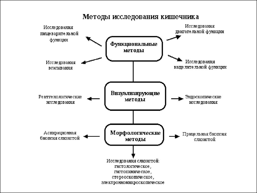 Исследование кишечных. Методы диагностики заболеваний толстой кишки. Исследование Толстого кишечника методы исследования. Методы исследования тонкой кишки. Диагностика Толстого кишечника методы исследования.