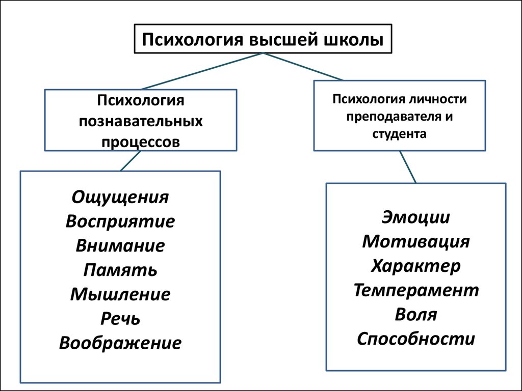 Познавательные процессы учителя. Психология высшей школы. Структура психологии высшей школы. Педагогика и психология высшей школы. Лекция педагогика и психология высшей школы.