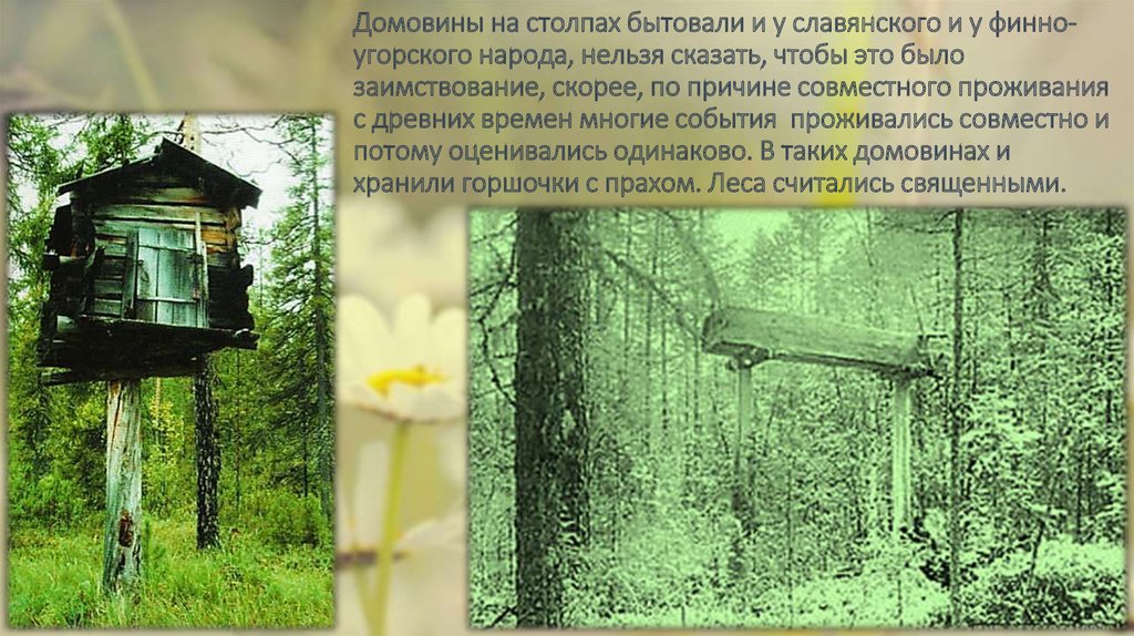 Домовины на столпах бытовали и у славянского и у финно-угорского народа, нельзя сказать, чтобы это было заимствование, скорее, по причине со
