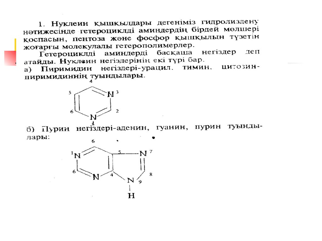 Нуклеин. Нуклеин кислоты КРН. Нуклеин структура. Нуклеин натрий таблетка 0,1г. Нуклеин определение.