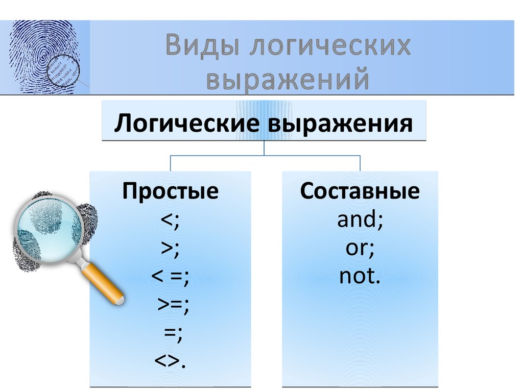 Виды логики. Тип логического выражения. Логический вид. Виды выражений. Типы виды логических выражений.