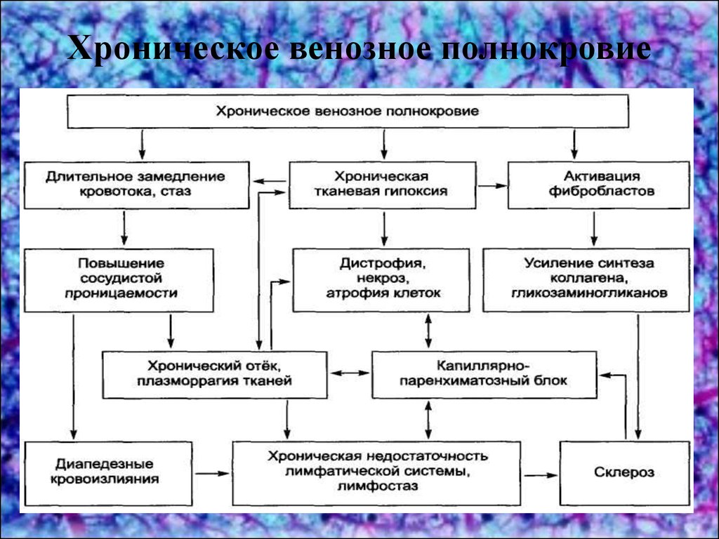 Виды венозной гиперемии. Признаки хронической венозной гиперемии. Хроническое венозное полнокровие. Патогенез острого венозного полнокровия. Микроскопические признаки хронической венозной гиперемии.