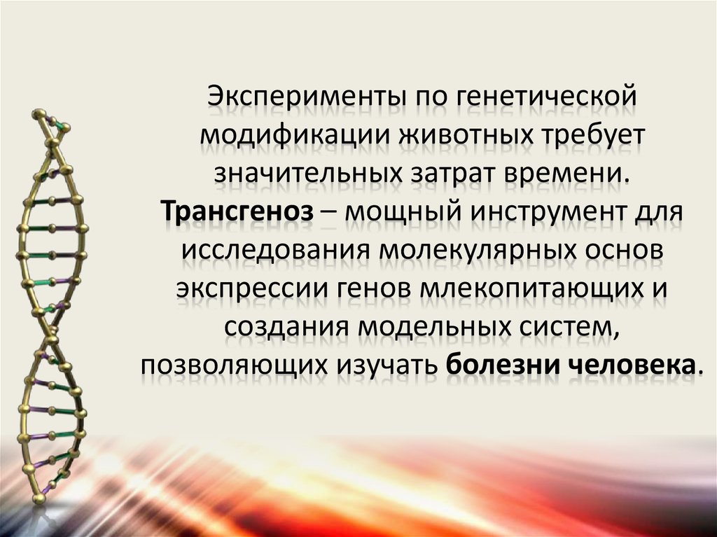 Презентация биотехнология и генная инженерия 11 класс