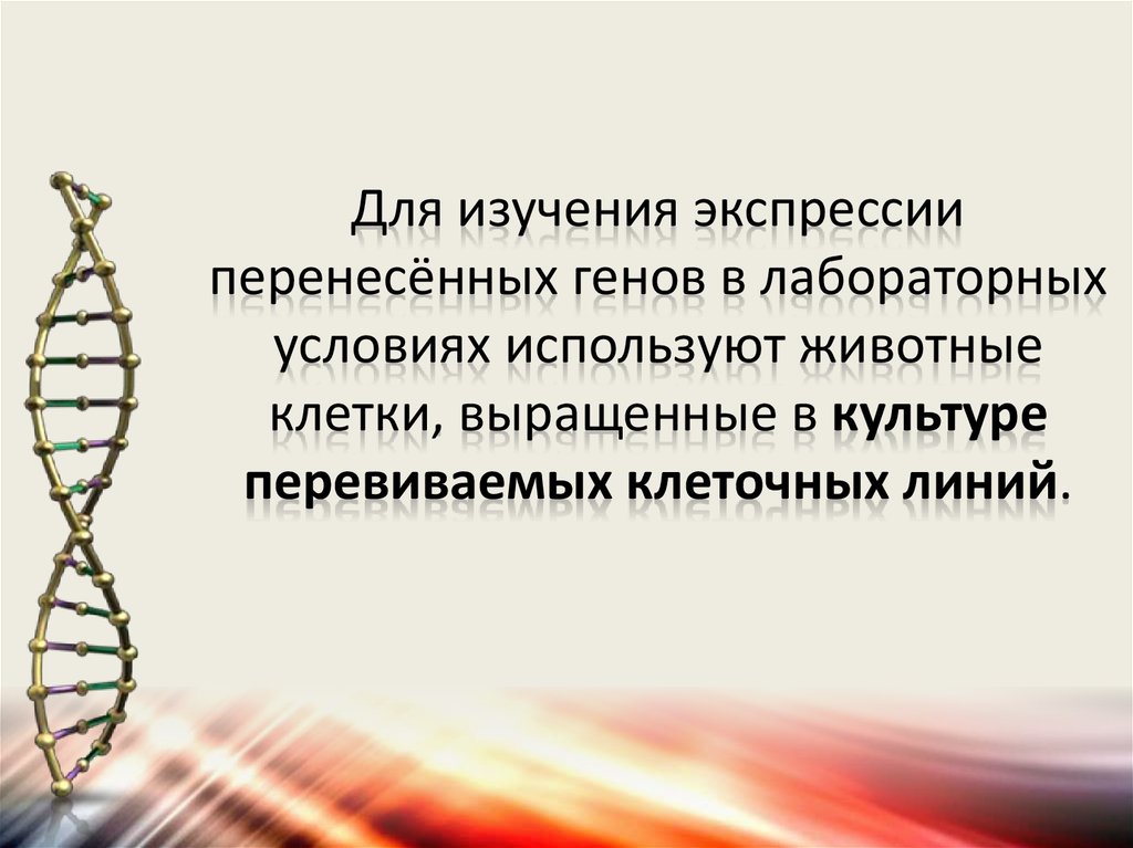 Какова цель генной инженерии. Генная инженерия в биотехнологии. Перенос генов. Вертикальный перенос генов. Горизонтальный перенос генов.