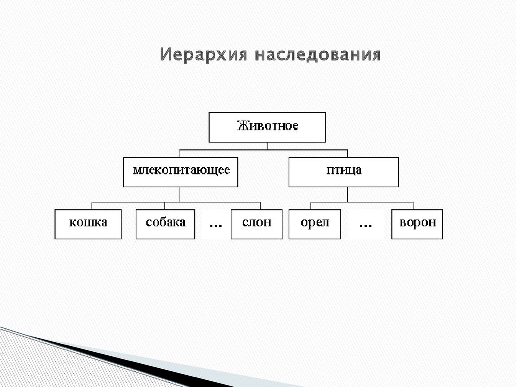 Диаграмма царство животных