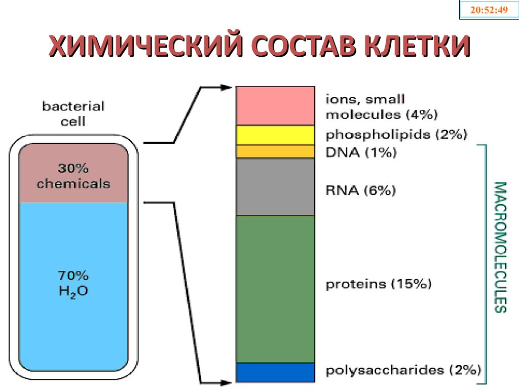 Химический состав клеток организмов. Химический состав клеиками. Химический состав клетки. Химическийсоства клеткит. Химическиймостав клетки.