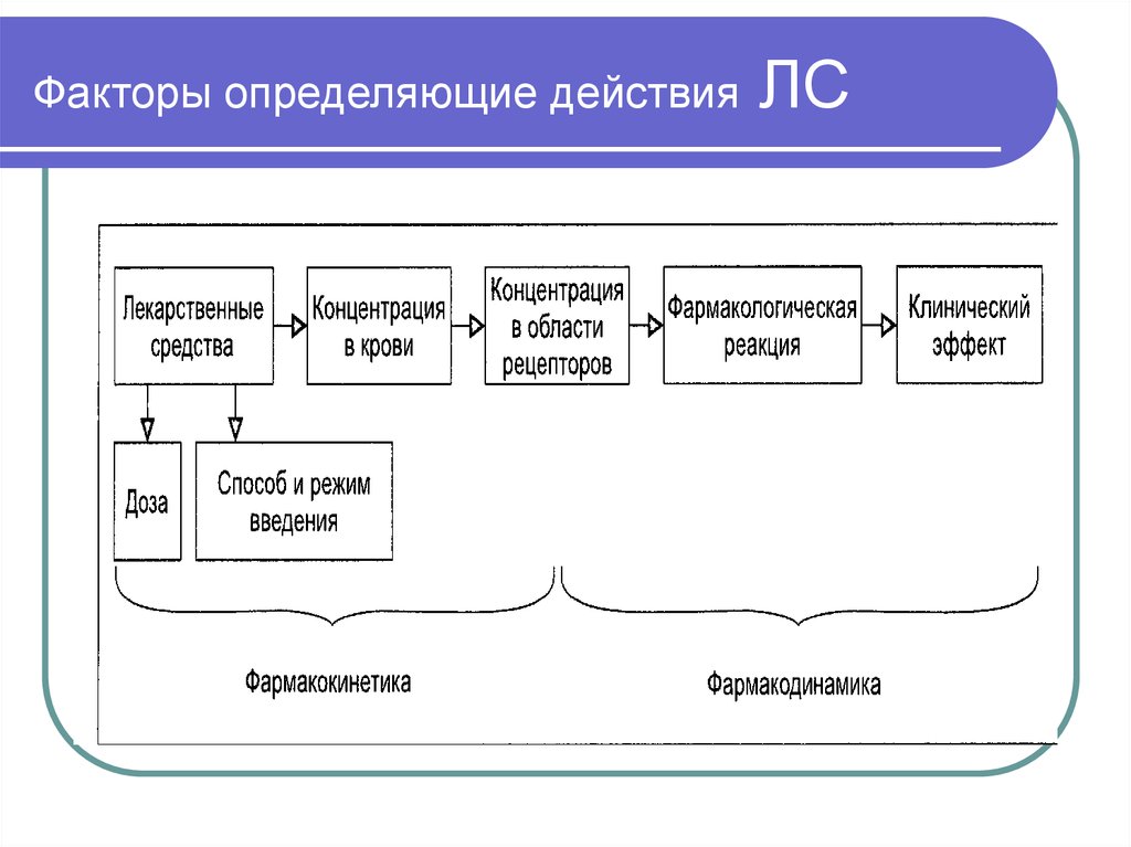 Факторы определяющие содержание