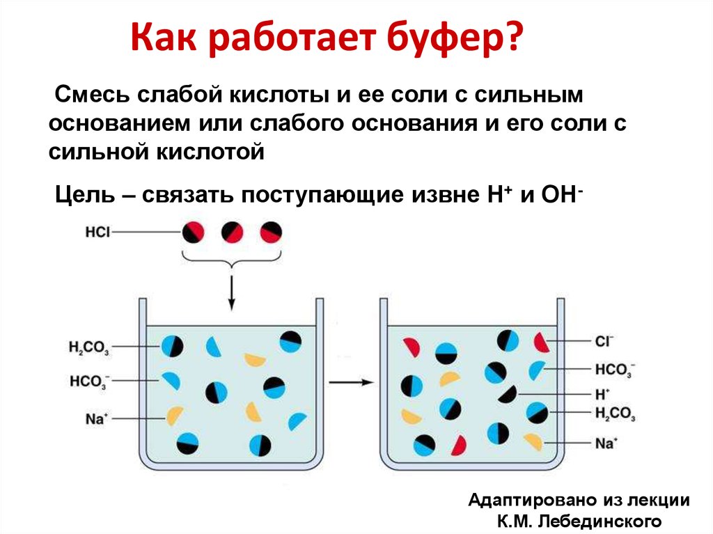 Кислотно основная система