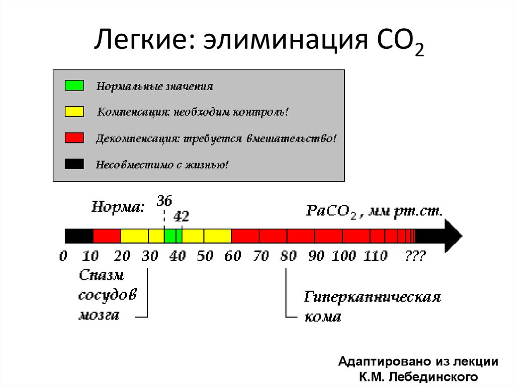 Кислотно основное состояние