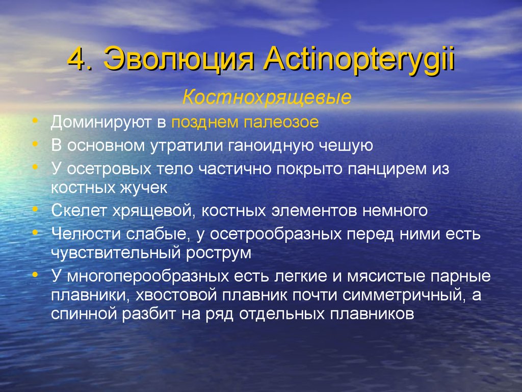 Особенности происхождения рыб. Происхождение рыб. Костное происхождение. Происхождение рыб кратко.