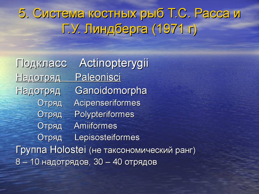 Системы костных рыб. Происхождение костных рыб. Подклассы костных рыб. Экологические группы костных рыб. Надотряды костных рыб.