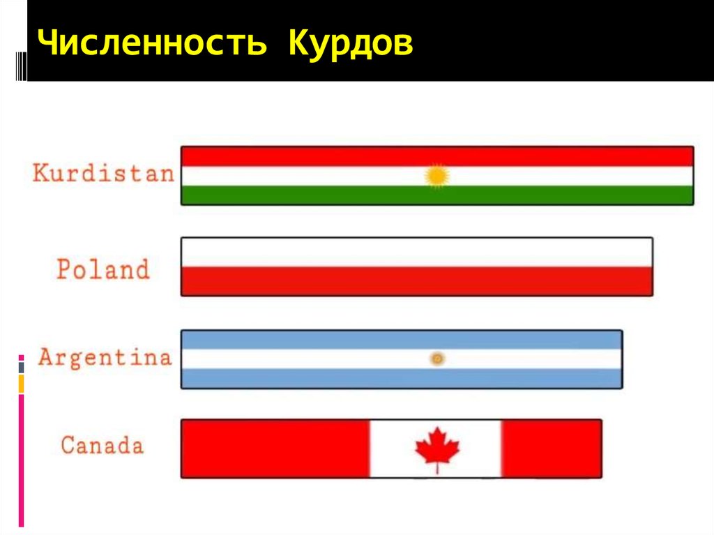 Численность Курдов